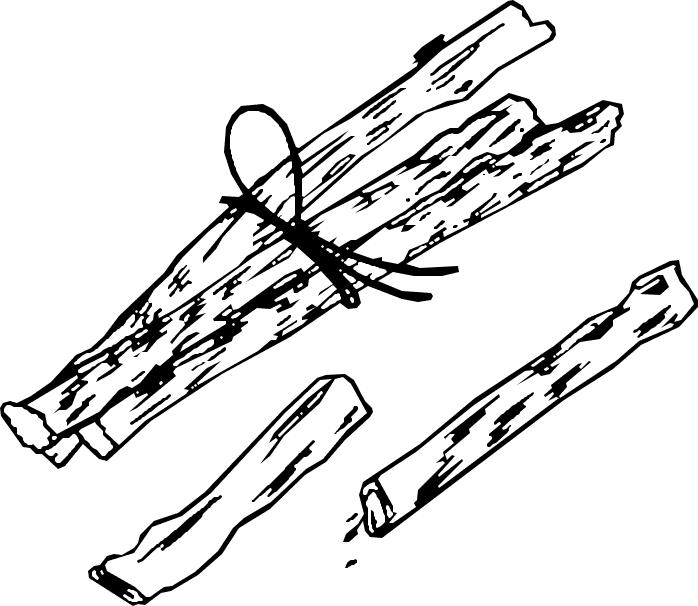 Vector (1)