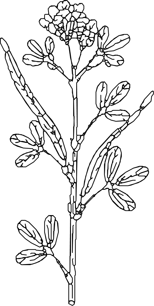 Vector (18)