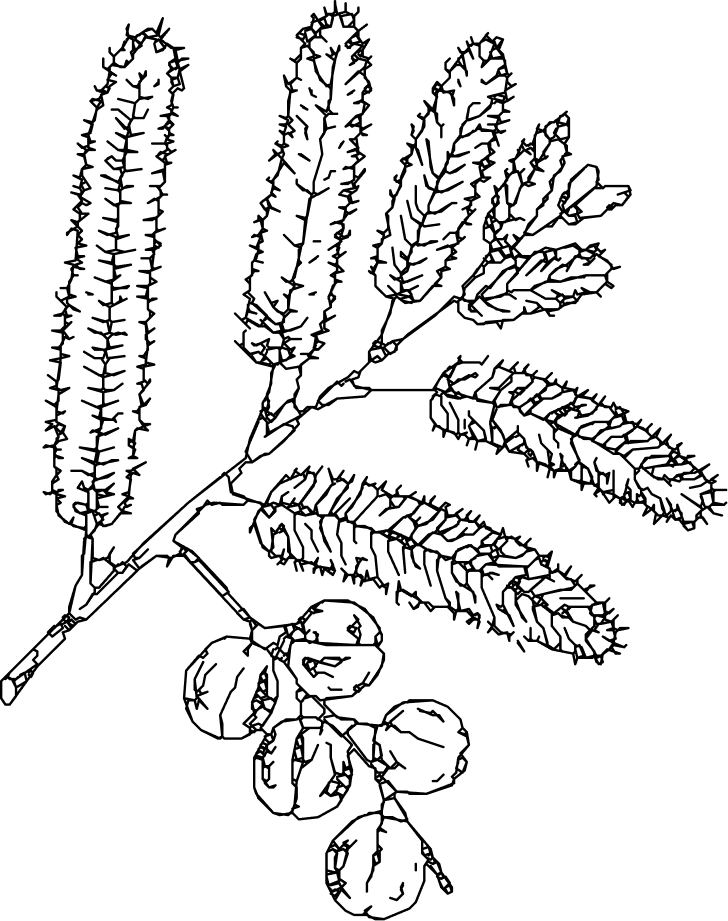 Vector (20)