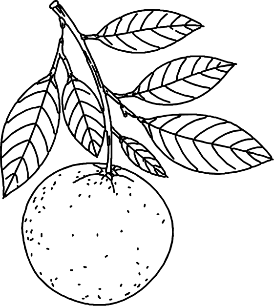 Vector (3)